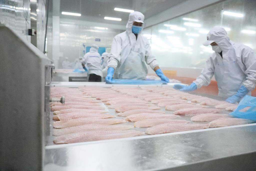 China is expected to increase consumption of Vietnamese pangasius in 2024