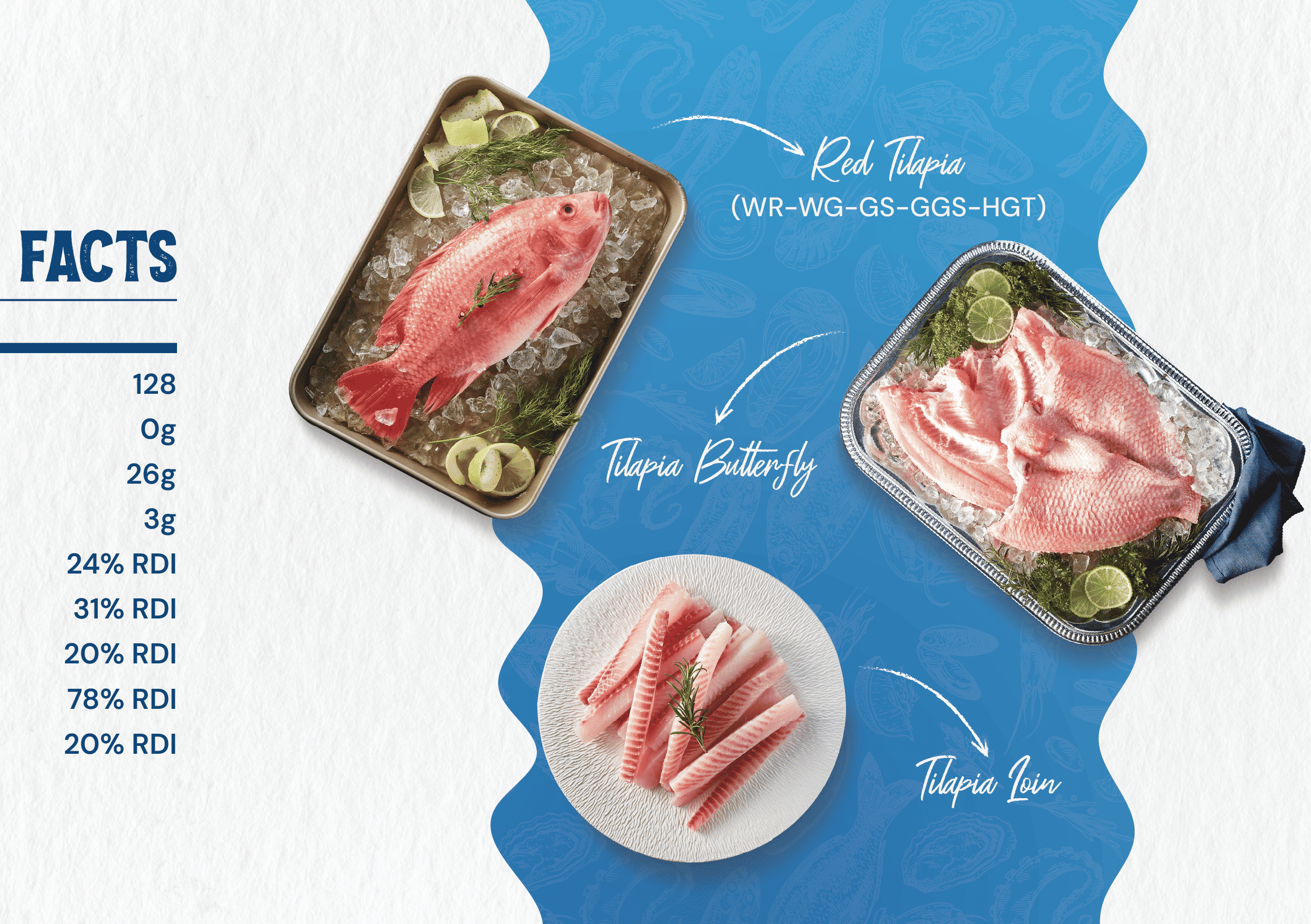 Brochure-AQUAMATRIX-SizeA5-05