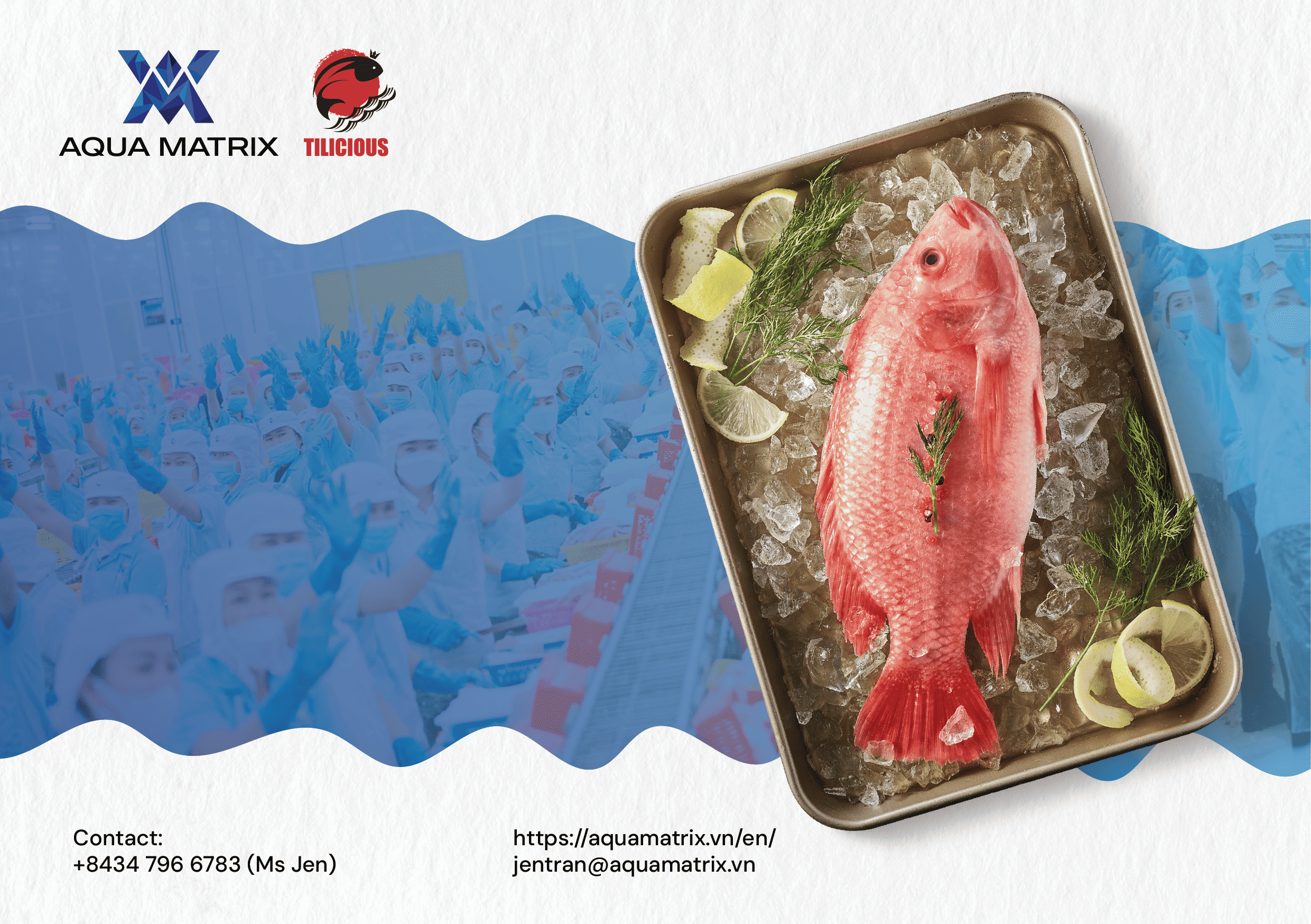 Brochure-AQUAMATRIX-SizeA5-08
