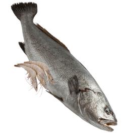 Untitled design (12)