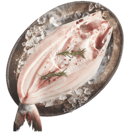 Untitled design (13)