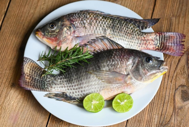 Untitled design (18)