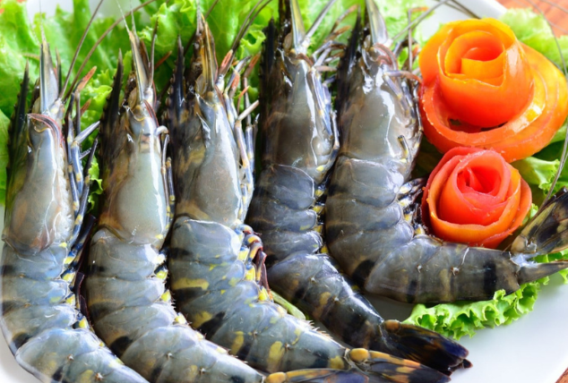 Untitled design (20)