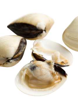 Untitled design (23)