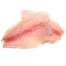 Pangasius Fish